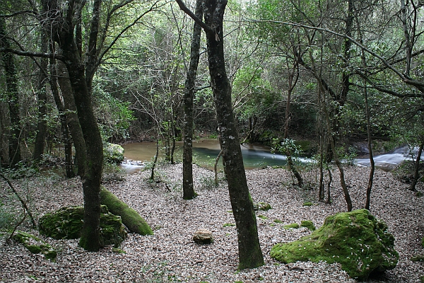 Rio Sarcidano - (IMG_3572).jpg